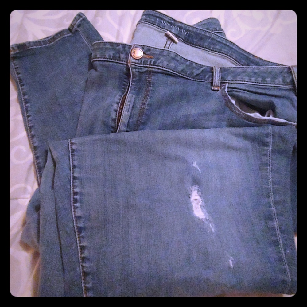 Lane Bryant Boyfriend Jeans